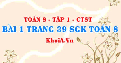 Bài 1 trang 39 SGK Toán 8 Tập 1 Chân trời sáng tạo